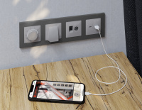 Лицевая панель ALFA (Серебро глянец) для вывода кабеля QUANT (Ambrella Volt, AP4158)